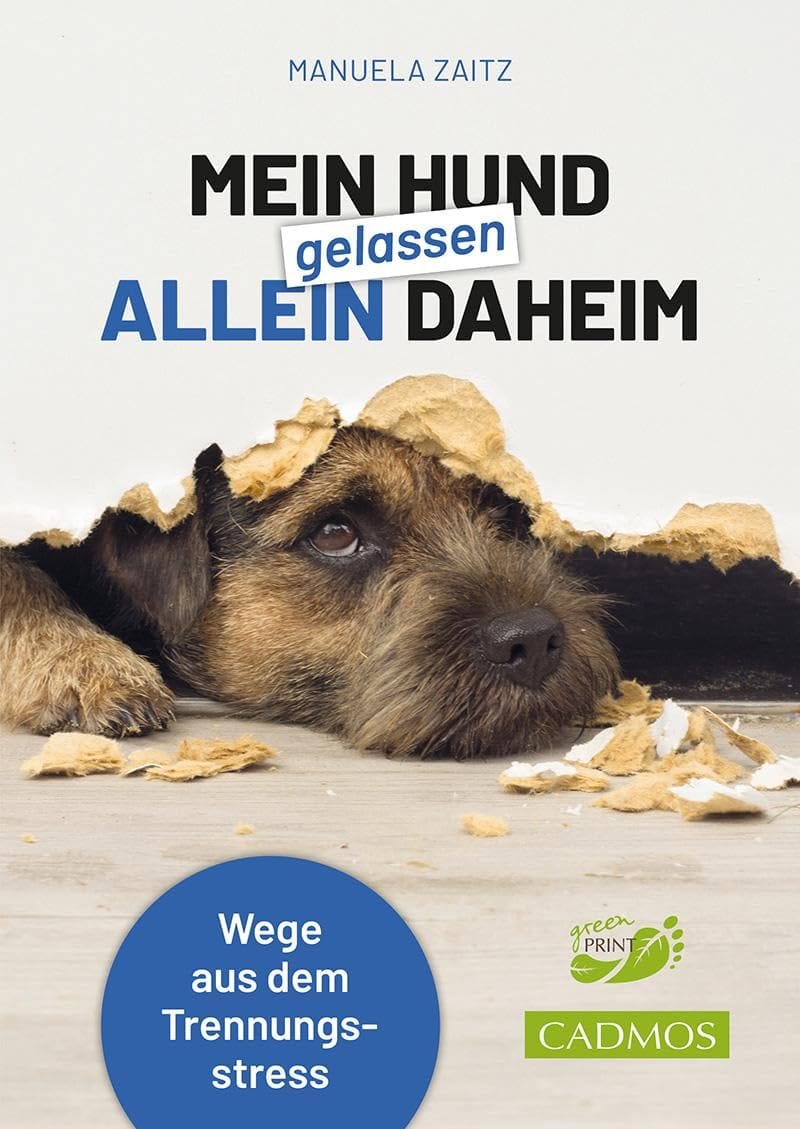 Trennungsstress