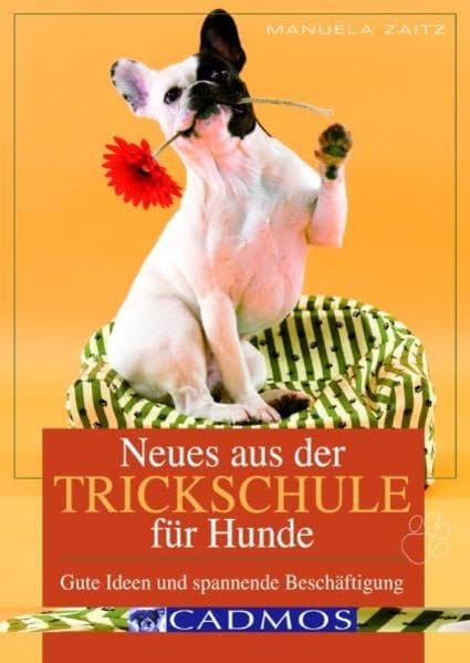 Neues
