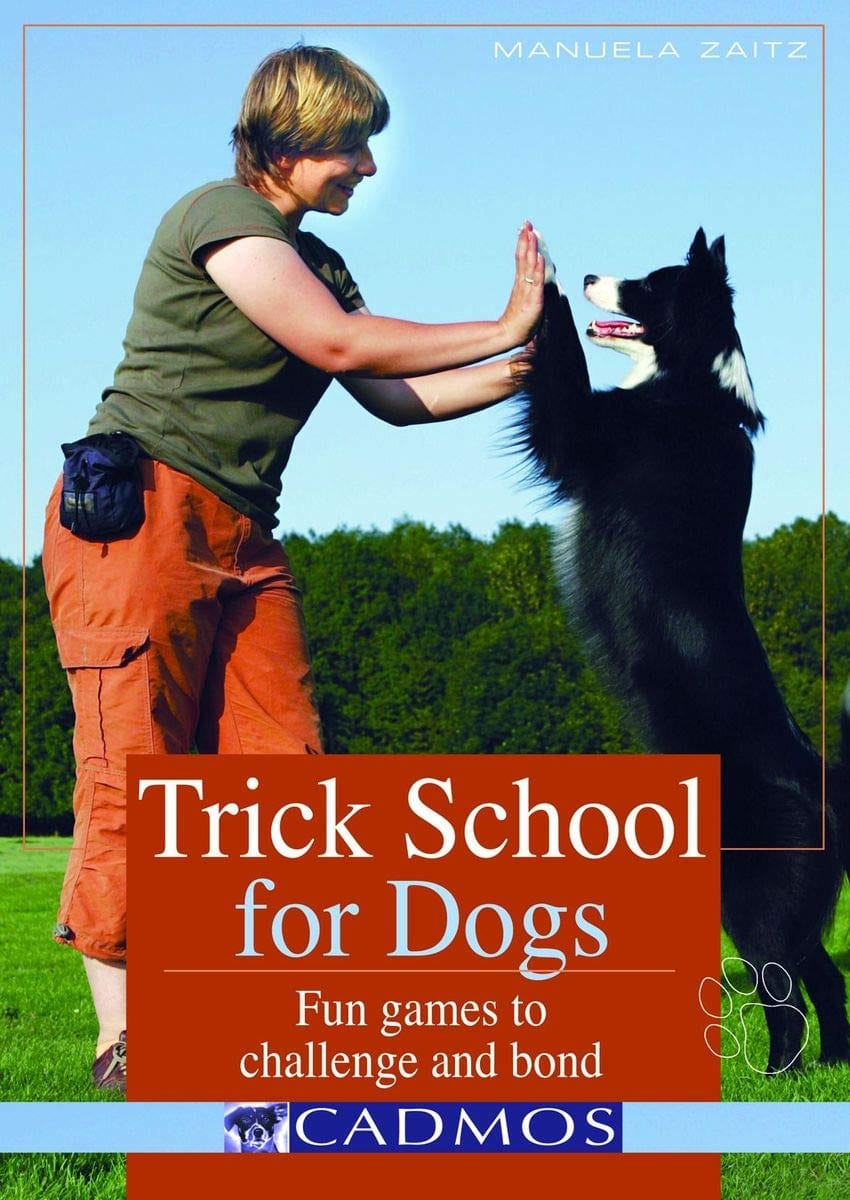 Trick School