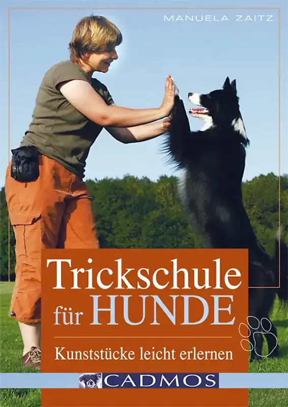 Trickschule