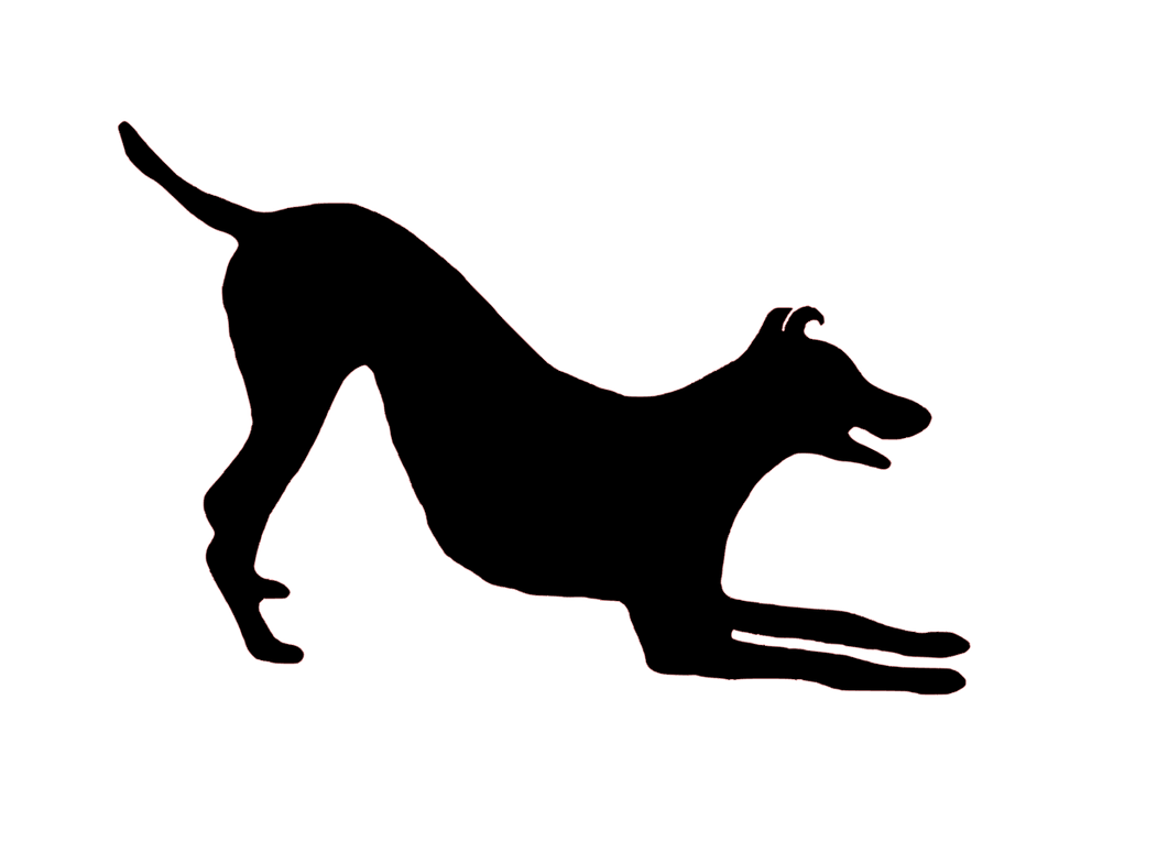 Trickschule für Hunde